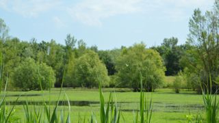 L’agriculture est le secteur le plus cité pour son impact sur la biodiversité, représentant « 21 % de toutes les pressions » sur les habitats et les espèces.