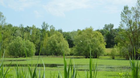 L’agriculture est le secteur le plus cité pour son impact sur la biodiversité, représentant « 21 % de toutes les pressions » sur les habitats et les espèces.