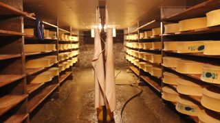 Le Cnaol souhaite renforcer les connaissances scientifiques pour connaître les risques liés au lait cru.