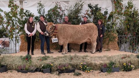 Le Gaec de Ladignac (Cantal) remporte le prix de championnat femelle avec Noble.