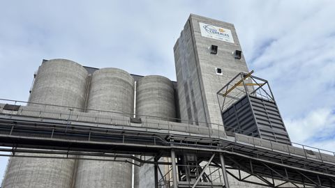Le nouvel outil de Nord Céréales est dimensionné pour pouvoir traiter, à terme, jusque 105 000 tonnes de céréales.