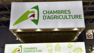 Le rapport de la Cour des comptes sur les chambres d'agriculture a été publié le 3 octobre 2025.