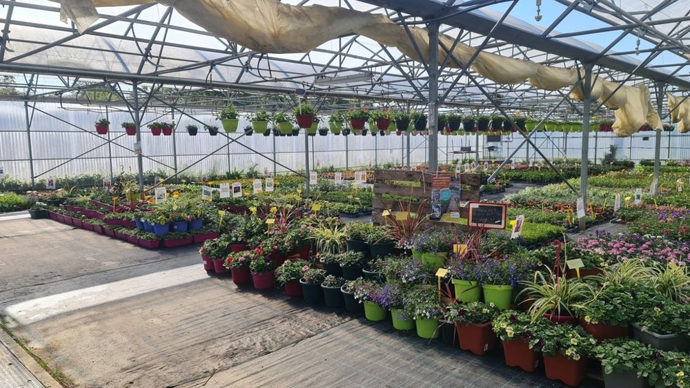 Les 5 et 6 novembre, enseignants, élèves et équipes éducatives du lycée horticole de Tournus (71) recevront le 10e Salon d'automne du chrysanthème, des jeunes plants et des intrants au sein de son exploitation.
