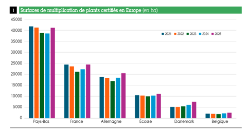Surfaces de multiplication de plants certifiés en Europe en ha Surfaces de multiplication de plants certifiés en Europe en ha