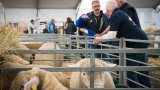 Du côté du chapiteau des ovins, l'évolution du plan loup était au coeur des discussions.
