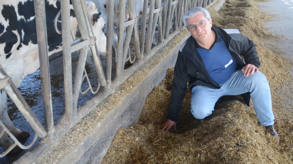 Dominique Landais consultant nutrition pour Seenovia