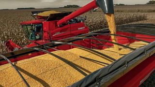 En l'absence de rapport de l'USDA, les marchés et les agriculteurs n'ont plus d'information sur les récoltes en cours et les prix varient peu. En l'absence de rapport de l'USDA, les marchés et les agriculteurs n'ont plus d'information sur les récoltes en cours et les prix varient peu.