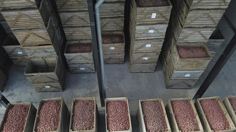 Les mesures proposées par le Parlement européen offriraient de nouvelles perspectives de structuration des filières comme celles de la pomme de terre. Les mesures proposées par le Parlement européen offriraient de nouvelles perspectives de structuration des filières comme celles de la pomme de terre.
