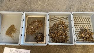A l'heure d'entamer les premiers ensilages 2025, il peut être judicieux de passer son fourrage au tamis pour ajuster sa ration. A l'heure d'entamer les premiers ensilages 2025, il peut être judicieux de passer son fourrage au tamis pour ajuster sa ration.