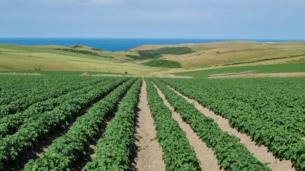 L'acquisition d'IPM ouvre des marchés à HZPC sur les iles britanniques et en Afrique du Nord.