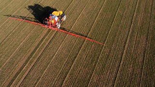 Les résultats d'essais Arvalis montrent que les doses réduites de chlortoluron (500 g/ha) sont finalement sélectives sur plusieurs variétés dites « sensibles ». Les résultats d'essais Arvalis montrent que les doses réduites de chlortoluron (500 g/ha) sont finalement sélectives sur plusieurs variétés dites « sensibles ».