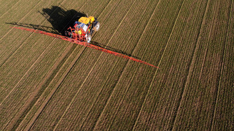 Les résultats d'essais Arvalis montrent que les doses réduites de chlortoluron (500 g/ha) sont finalement sélectives sur plusieurs variétés dites « sensibles ». Les résultats d'essais Arvalis montrent que les doses réduites de chlortoluron (500 g/ha) sont finalement sélectives sur plusieurs variétés dites « sensibles ».