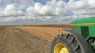 Malgré des semis précoces (40 % réalisés mi-avril) et un cumul de températures supérieur à la normale, les récoltes se déroulent à un rythme proche de la moyenne. Au 6 octobre, l’observatoire Céré’Obs comptabilisait 37 % des surfaces récoltées (contre 36 % sur la moyenne quinquennale).