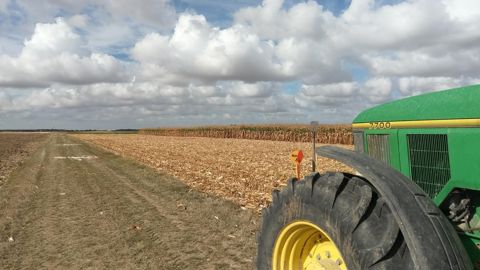 Malgré des semis précoces (40 % réalisés mi-avril) et un cumul de températures supérieur à la normale, les récoltes se déroulent à un rythme proche de la moyenne. Au 6 octobre, l’observatoire Céré’Obs comptabilisait 37 % des surfaces récoltées (contre 36 % sur la moyenne quinquennale).