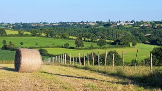 Les baux de longue durée offrent au preneur davantage de stabilité et de visibilité sur son foncier. Les baux de longue durée offrent au preneur davantage de stabilité et de visibilité sur son foncier.