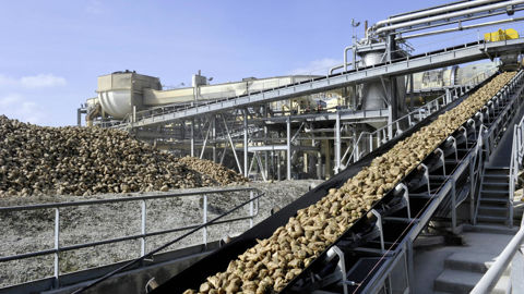 La France est le premier producteur européen de bioéthanol, issu quasiment à 100 % de productions agricoles françaises (blé, maïs, betteraves à sucre, déchets et résidus de sucreries et amidonneries). La France est le premier producteur européen de bioéthanol, issu quasiment à 100 % de productions agricoles françaises (blé, maïs, betteraves à sucre, déchets et résidus de sucreries et amidonneries).