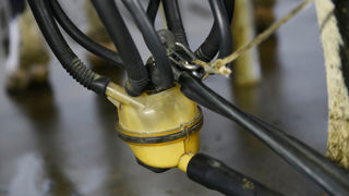 En France, les grilles de paiement du lait des Criel n'ont pas évolué depuis 15 ans, ce qui n'incite pas à produire de la matière grasse. En France, les grilles de paiement du lait des Criel n'ont pas évolué depuis 15 ans, ce qui n'incite pas à produire de la matière grasse.