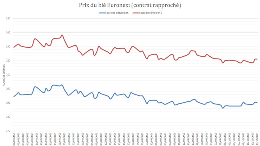 Un petit rebond des cours du blé est constaté dans les devises américaine et européenne. Un petit rebond des cours du blé est constaté dans les devises américaine et européenne.
