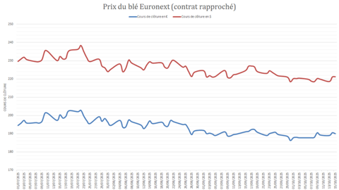 Un petit rebond des cours du blé est constaté dans les devises américaine et européenne. Un petit rebond des cours du blé est constaté dans les devises américaine et européenne.