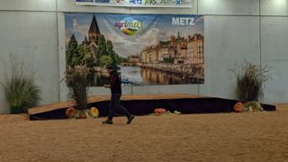 La décision d’annuler les concours bovins à Agrimax a été prise en concertation avec les syndicats de race. La décision d’annuler les concours bovins à Agrimax a été prise en concertation avec les syndicats de race.