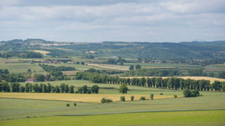 Les haies bocagères s'étendent sur 1,47 million de kilomètres à l’échelle de la France entière. Les haies bocagères s'étendent sur 1,47 million de kilomètres à l’échelle de la France entière.