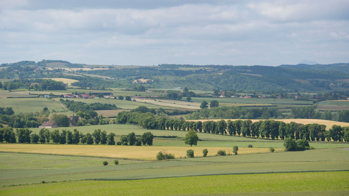 Les haies bocagères s'étendent sur 1,47 million de kilomètres à l’échelle de la France entière.