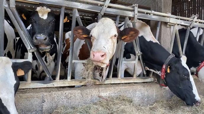 « Comme en agriculture, le capital au démarrage est important pour les jeunes patrons de pêche, explique Hugues Vincent, directeur de l’Armement coopératif artisanal vendéen. Nous avons bâti un système collectif qui leur prête de quoi acheter leur premier bateau ».