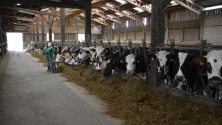 Le programme pilote “Oméga 3 – Les deux pieds sur terre”, initié par Danone en partenariat avec Valorex, explore une voie innovante pour réduire les émissions de méthane entérique des vaches laitières : l’incorporation de tourteau de lin extrudé dans la ration. Le programme pilote “Oméga 3 – Les deux pieds sur terre”, initié par Danone en partenariat avec Valorex, explore une voie innovante pour réduire les émissions de méthane entérique des vaches laitières : l’incorporation de tourteau de lin extrudé dans la ration.