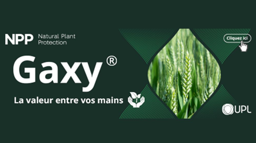 GAXY® : la nouvelle solution pour valoriser l’azote et maîtriser les émissions