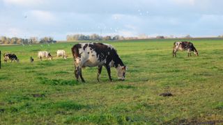 Représentant 22 % des achats de produits laitiers par les ménages en 2024, les circuits de distribution spécialisés en bio confirment en 2025 le rebond des ventes observé en 2024.
