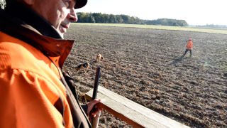 La récente « boîte à outils » construite en concertation entre agriculteurs et chasseurs a permis d'obtenir de premiers bons résultats en matière de réduction des dégâts.