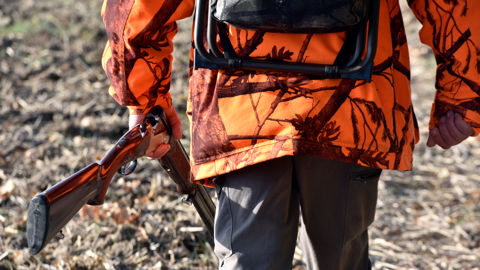 Les syndicats agricoles demandent en priorité aux chasseurs de réguler davantage le sangliers.