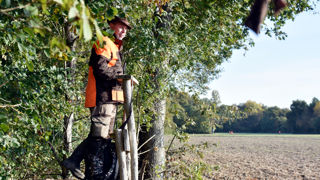15 battues affinitaires ont été organisées dans l'Indre en 2024-2025.