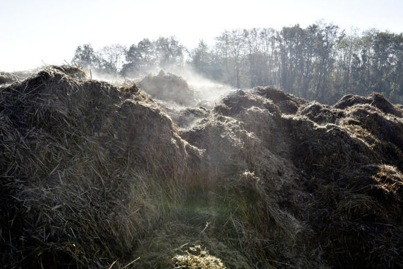 Si le fermier les a reçu lors de son entrée sans indemnité les pailles et engrais résultant de la récolte précédente, il est tenu de les laisser à sa sortie ceux provenant de la récolte de l’année.
