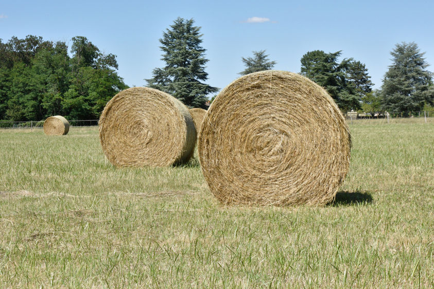 En l’absence d’état des lieux établi lors de l’entrée en jouissance, le preneur est présumé avoir reçu les biens en bon état de réparations locatives et doit les rendre dans le même état.