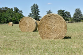 En l’absence d’état des lieux établi lors de l’entrée en jouissance, le preneur est présumé avoir reçu les biens en bon état de réparations locatives et doit les rendre dans le même état.