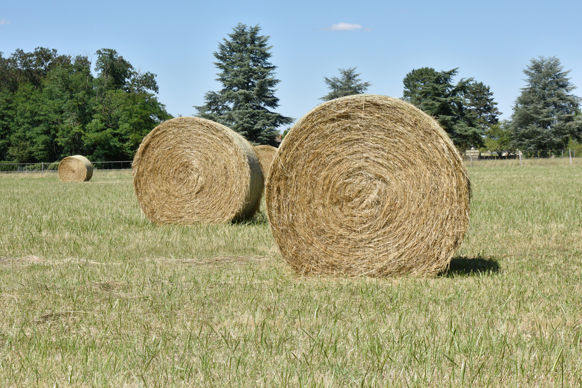 Bail rural : qui doit établir l’état des lieux ?