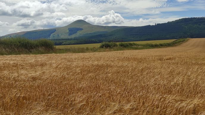 En Écosse, comme pour l’ensemble du Royaume-Uni, les exploitations agricoles sont étendues et peu diversifiées, et les agriculteurs très individualistes à la recherche de la moindre économie.