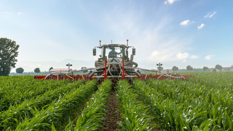 La bineuse FlexCare pourra désormais recevoir une tête de répartition pour l’engrais. La bineuse FlexCare pourra désormais recevoir une tête de répartition pour l’engrais.
