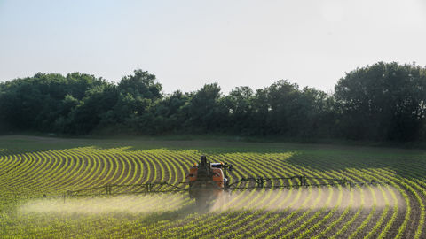 Le segment des herbicides de postlevée a progressé de trois points en un an, atteignant 78 % des surfaces traitées. Le segment des herbicides de postlevée a progressé de trois points en un an, atteignant 78 % des surfaces traitées.