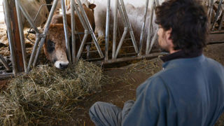 Un agriculteur éligible sur deux n'a pas recours au RSA, d'après la MSA. Un agriculteur éligible sur deux n'a pas recours au RSA, d'après la MSA.