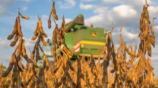 L'espoir d'un apaisement de la guerre commerciale entre la Chine et les États-Unis a soutenu le marché du soja et des céréales. L'espoir d'un apaisement de la guerre commerciale entre la Chine et les États-Unis a soutenu le marché du soja et des céréales.