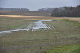 Si la canalisation fait partie du réseau public, l'entretien, le curage et les travaux de réparation courant ou d'agrandissement sont à la charge de la collectivité compétente. (Photo d'illustration).