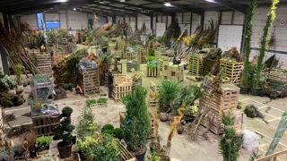 Hall de stockage à Plandanjou. Le groupement s'appuie sur les 700 hectares de production cumulés de ses actionnaires, qui produisent au total 8 millions de plantes et emploient près de 400 salariés.