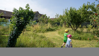 Muttersholtz (Bas-Rhin) est désignée Capitale française de la biodiversité 2025. Parc des Synergies.