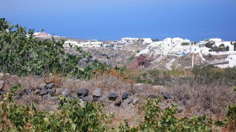 La concurrence entre tourisme et agriculture se fait sur les terres mais aussi sur la main d'oeuvre.
