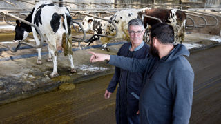 15 000 jours de remplacement ont été financés par Lidl (photo d'illustration).