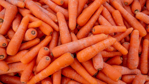 La récolte est attendue en légère hausse sur un an. La concurrence entre bassins de production semble peser aujourd'hui sur le marché.