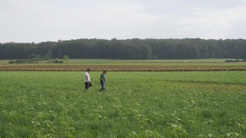 Soufflet a présenté son programme Performances, une « démarche ambitieuse et concrète pour accompagner les agriculteurs dans la transition vers une agriculture régénératrice ».