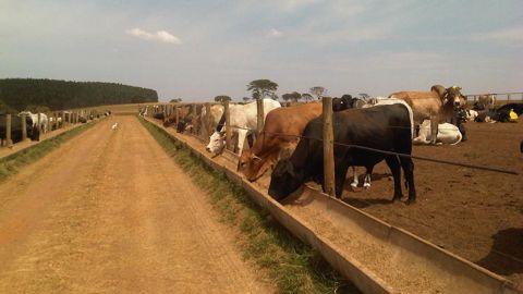 La Commission européenne a rappelé que les clauses de sauvegarde sont systématiquement prévues dans tous les accords commerciaux.
